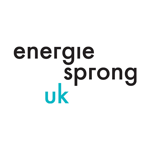 es-logo-500x500